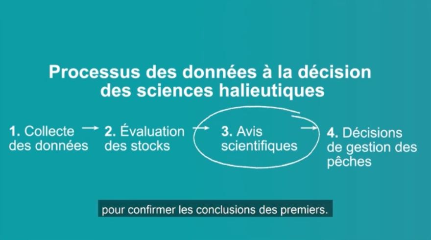 Vidéo : Conseils scientifiques