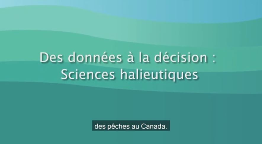 Vidéo : Processus des données à la décision des sciences halieutiques